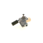 Bosch Fuel Pump Assembly