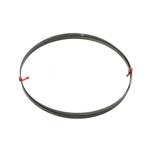 Dewalt Power Tools DT8481 General Purpose Bandsaw Blade 2095 x 12mm x 6 TPI DeWALT Power Tools - Dynamic Drive