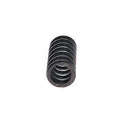 Bosch Compression Spring