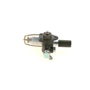 Bosch Fuel Pump Assembly