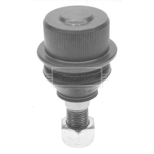 Borg & Beck Ball Joint Upper BBJ5591