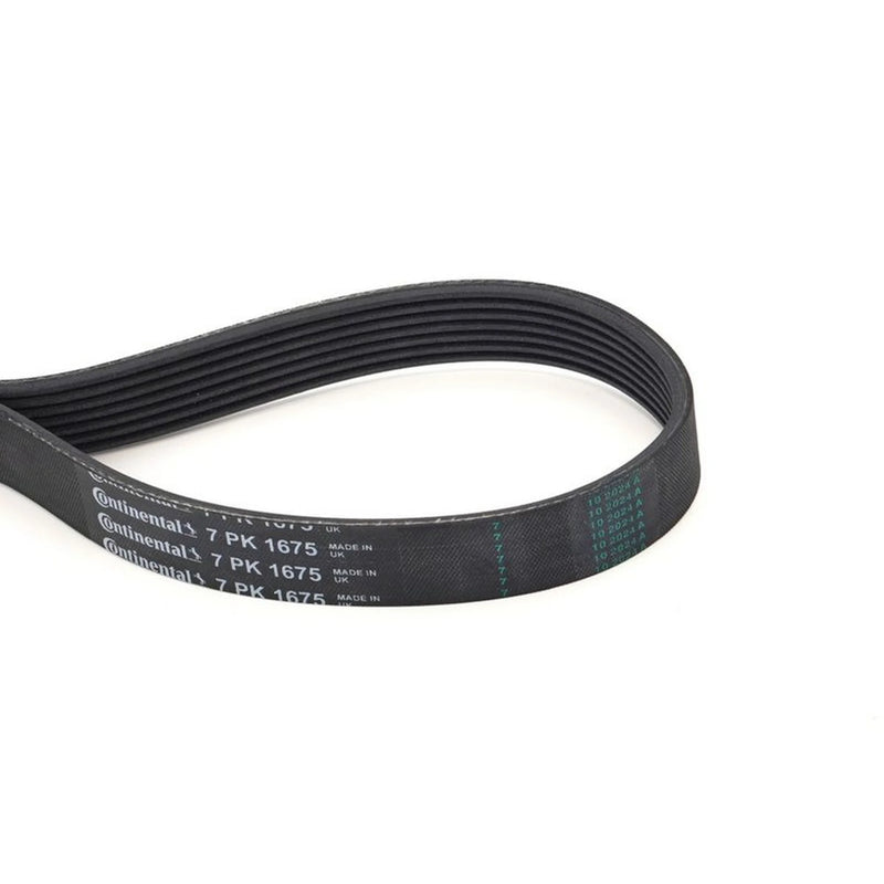 Continental CTAM Multi V-Ribbed Drive Belt fits Alfa Romeo 33 1990-1992 1.7