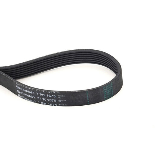 Continental CTAM Multi V-Ribbed Drive Belt fits Alfa Romeo 33 1990-1992 1.7
