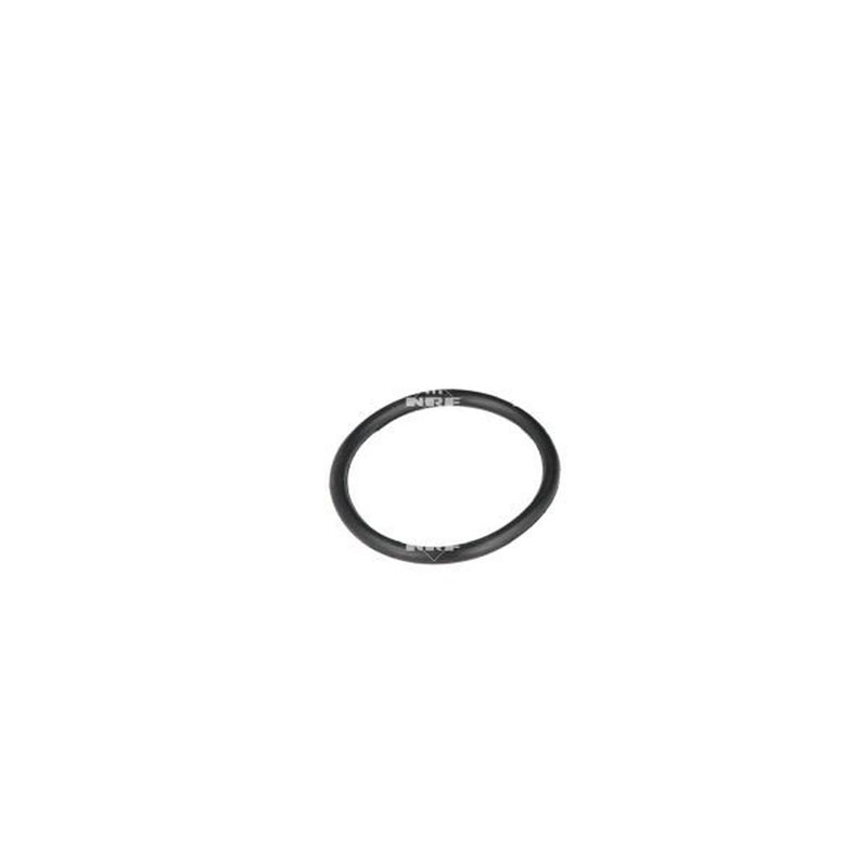 NRF Thermostat,Coolant 725243