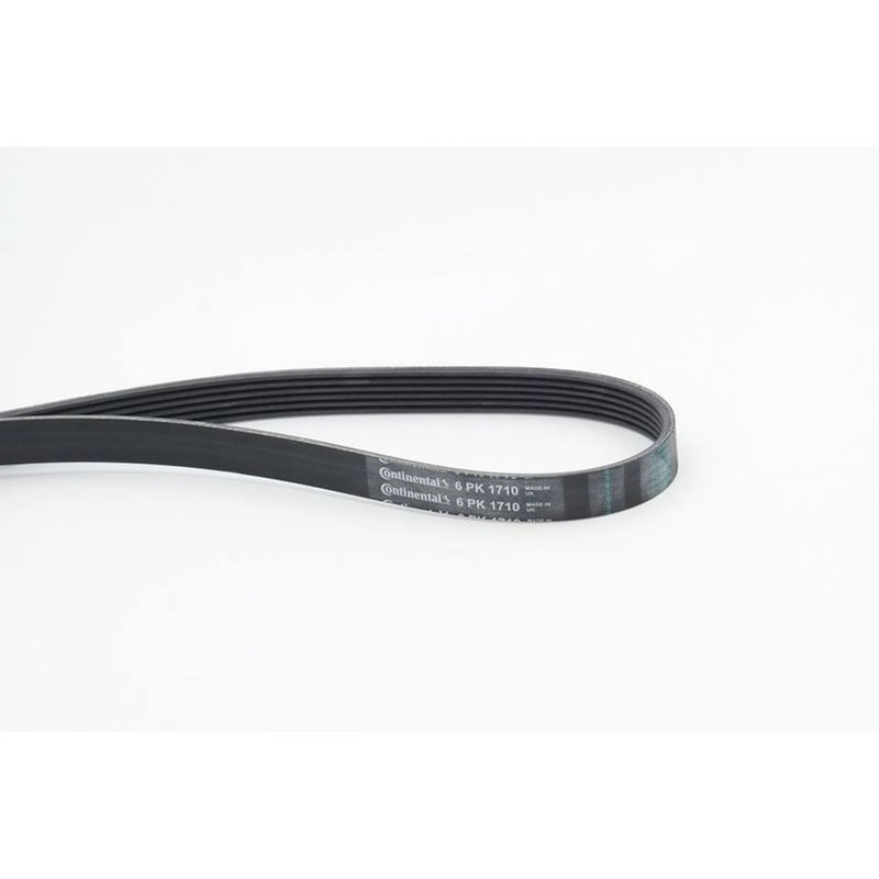 Continental CTAM Multi V-Ribbed Drive Belt fits Citroën Berlingo 2005-2011 1.6