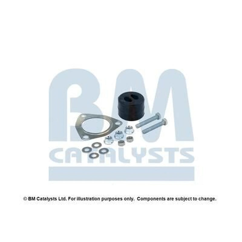 BM Catalysts Fitting Kit FK80029C FK80029C