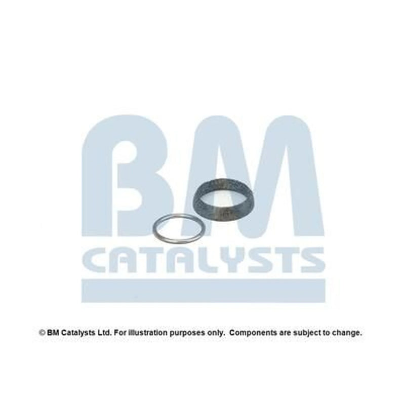 BM Catalysts Fitting Kit FK91331A FK91331A