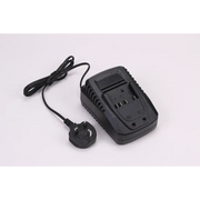 Sealey Main Charger