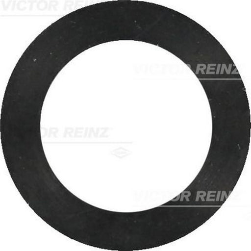 Victor Reinz Sealing Ring Gasket 40-77407-00