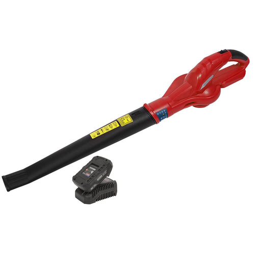 Sealey Leaf Blower Cordless 20V with 2Ah Battery & Charger CB20VCOMBO2 Sealey  - Dynamic Drive