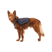 Ruffwear Front Range Dog Day Pack in Basalt Grey (L / XL) Ruffwear - Dynamic Drive