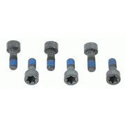 Sachs Dmf Screw Set (Special Order) 1874000041