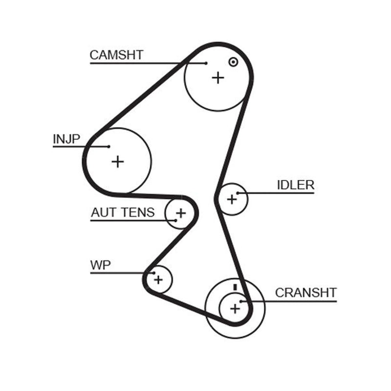 Gates Timing Belt Cambelt 144 Teeth fits Citroën C1 2005-2014 1.4