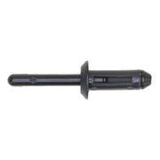 Sealey Plastic Rivet 6.6 x 17.2mm Pack of 50 PR001 Sealey  - Dynamic Drive
