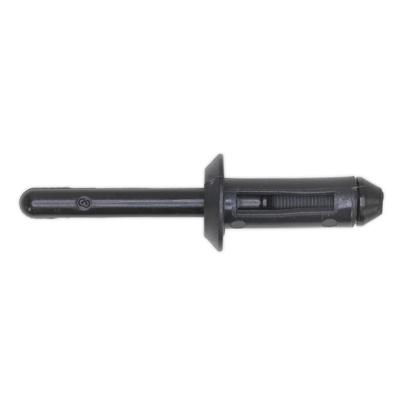 Sealey Plastic Rivet6.6 x 17.2mm Pack of 50 PR001 Sealey - Dynamic Drive