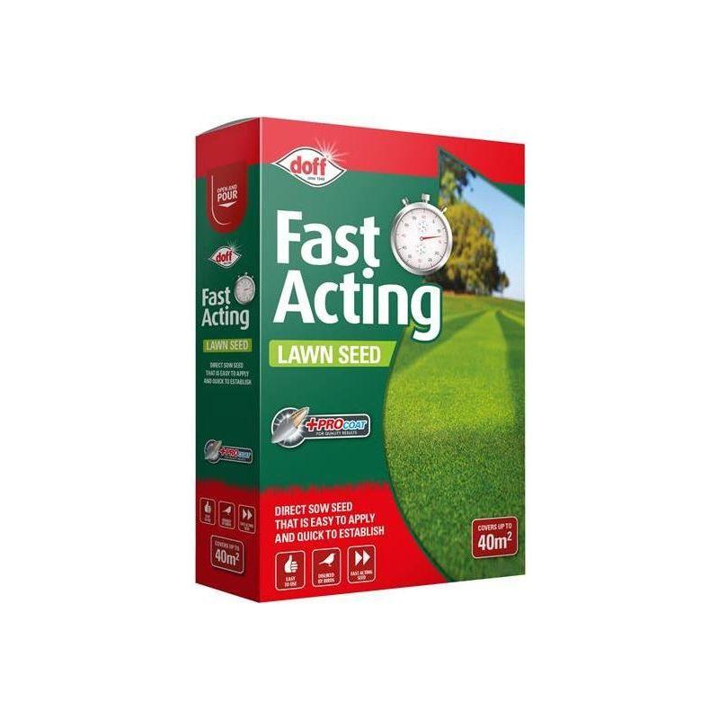 Doff Fast Growing Lawn Seed 500g DOFF - Town Tools