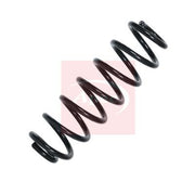 Apec Rear Suspension Coil Spring fits Skoda Superb III 2015-2024 2.0