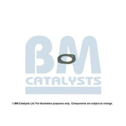 BM Catalysts Fitting Kit FK92060A FK92060A
