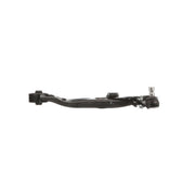 Delphi Control/Trailing Arm Lower