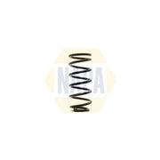 NAPA 2 x Suspension Springs fits Mini Mini 2001-2006