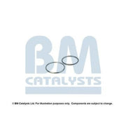 BM Catalysts Fitting Kit FK11237A FK11237A