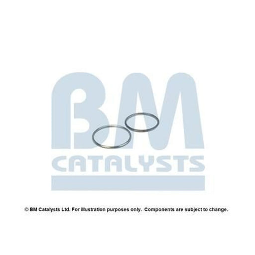 BM Catalysts Fitting Kit FK11237A FK11237A