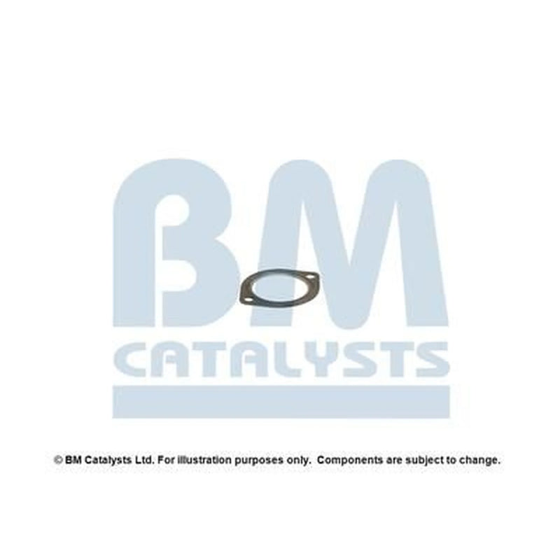 BM Catalysts Exhaust Pipe Mounting Kit