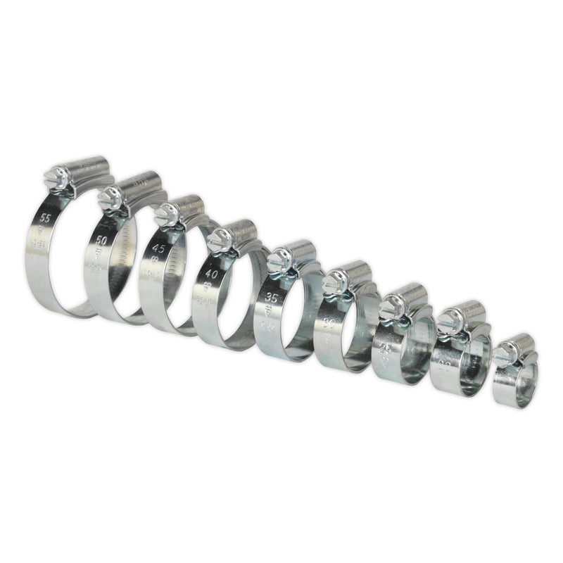 Sealey HI-GRIPï Hose Clip Assortment 85pc Sizes9.5-55mm HCJ85A Sealey - Dynamic Drive