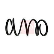 Apec Rear Suspension Coil Spring ACS1919