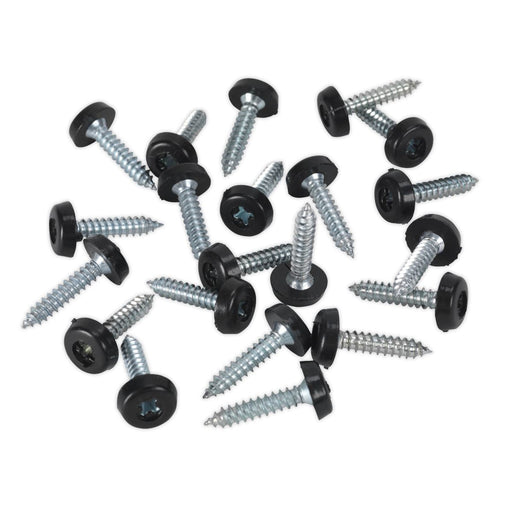 Sealey Numberplate Screw Plastic Enclosed Head 4.8 x 24mm Black Pack of 50 PTNP7 Sealey - Dynamic Drive