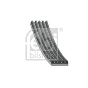 Febi Multi V-Ribbed Drive Belt 176318