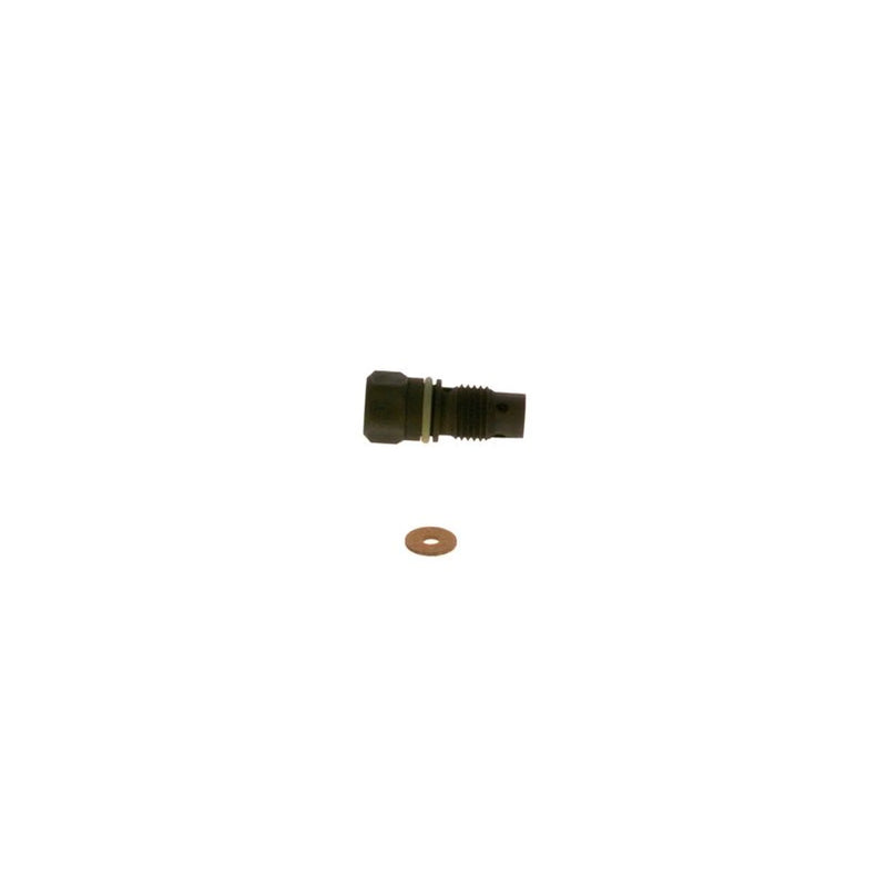 Bosch Fuel Injection Control Valve