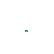 Bosch Rubber Seal Ring