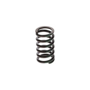 Bosch Compression Spring