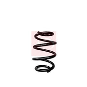 Apec Rear Suspension Coil Spring ACS1970