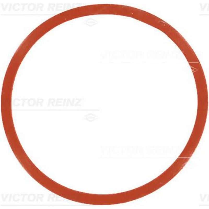 Victor Reinz Intake Manifold Gasket Thick FPM (fluo 71-77546-00