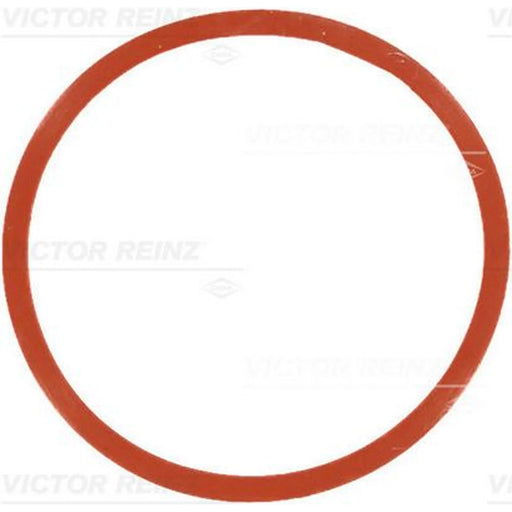 Victor Reinz Intake Manifold Gasket Thick FPM (fluo 71-77546-00