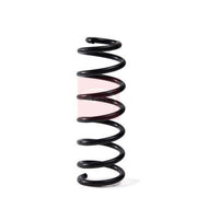 Apec Front Suspension Coil Spring fits Mercedes-Benz C-Class 2013-2021
