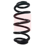 Apec Rear Suspension Coil Spring ACS1636