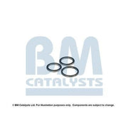 BM Catalysts Fitting Kit FK90251A FK90251A
