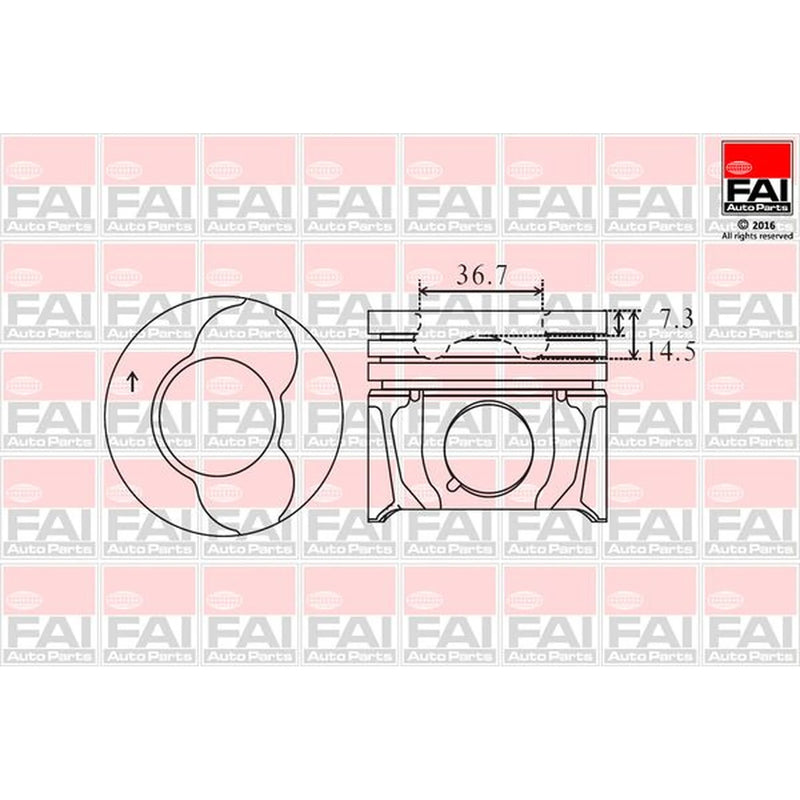 FAI Piston Cylinder Bore =