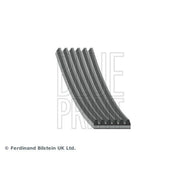 Blue Print Multi V-Ribbed Drive Belt AD06R684