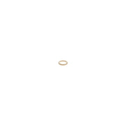 Bosch Injector Seal Ring