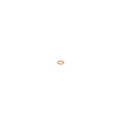 Bosch Sealing Ring Gasket