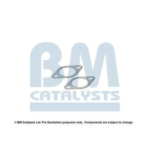 BM Catalysts Fitting Kit FK80061A FK80061A