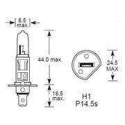 Pair of Lucas H1 (448) Car Headlamp Dipped Beam Bulb 12V 55W Lucas  - Dynamic Drive