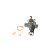Bosch Fuel Pump Assembly
