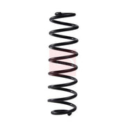 Apec Rear Suspension Coil Spring ACS2181