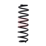 Apec 2 x Suspension Springs fits Ford Ecosport 2013 on 1.0 1.5