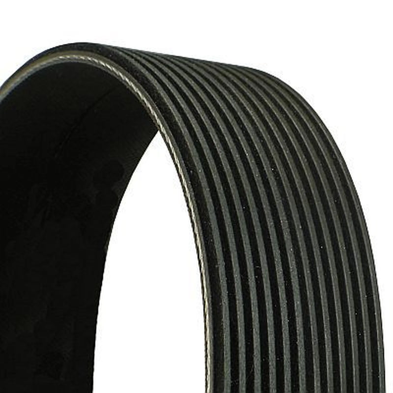 Continental CTAM Multi V-Ribbed Drive Belt